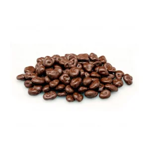 Arándanos con Chocolate 100grs