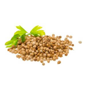 Coriando en Semillas 40grs